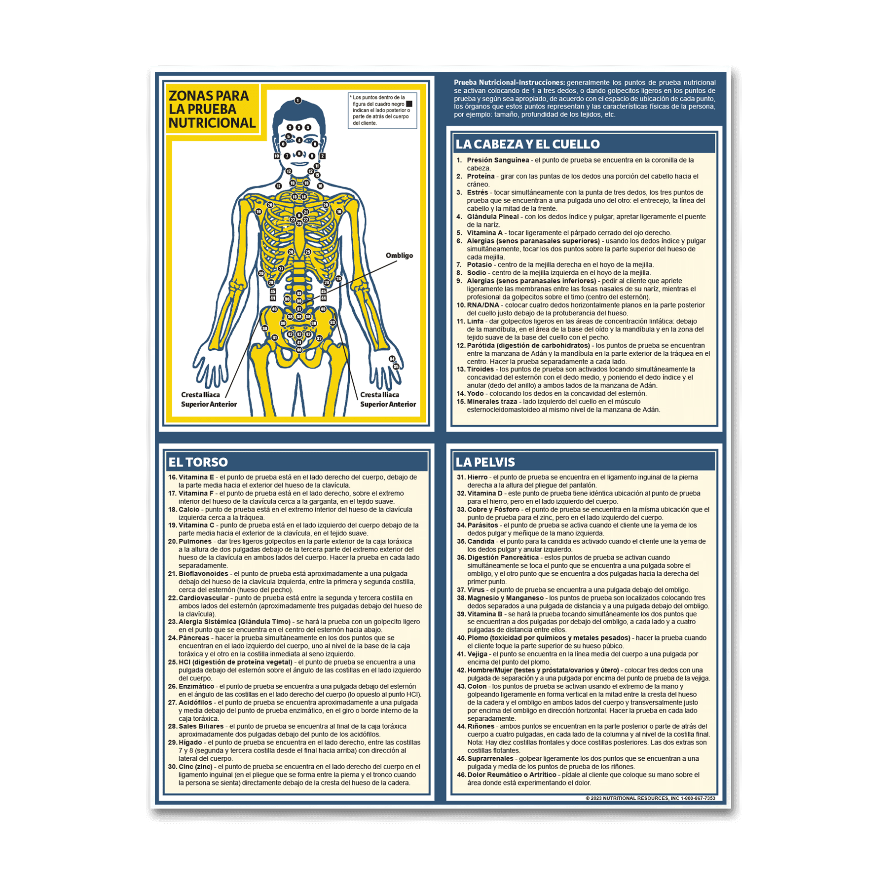 Muscle Response Test Chart (Spanish) - Nutritional Resources