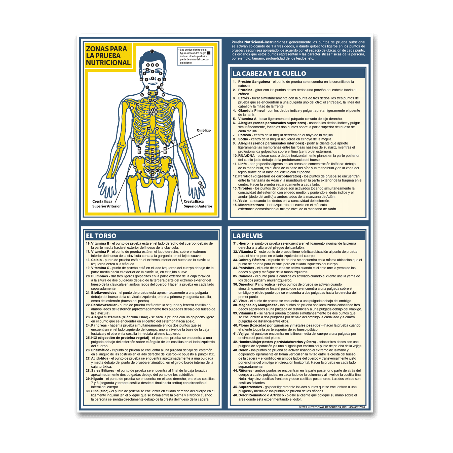 muscle-response-test-chart-spanish