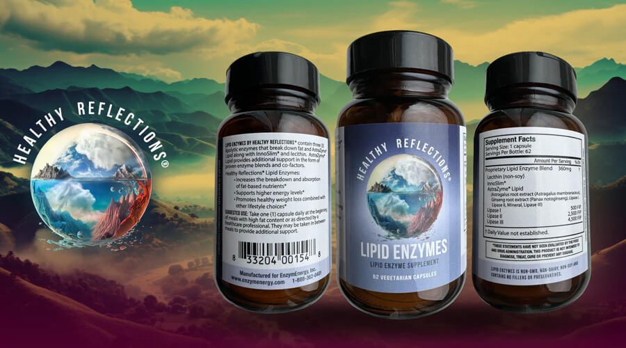 Lipid Enzymes - Nutritional Resources