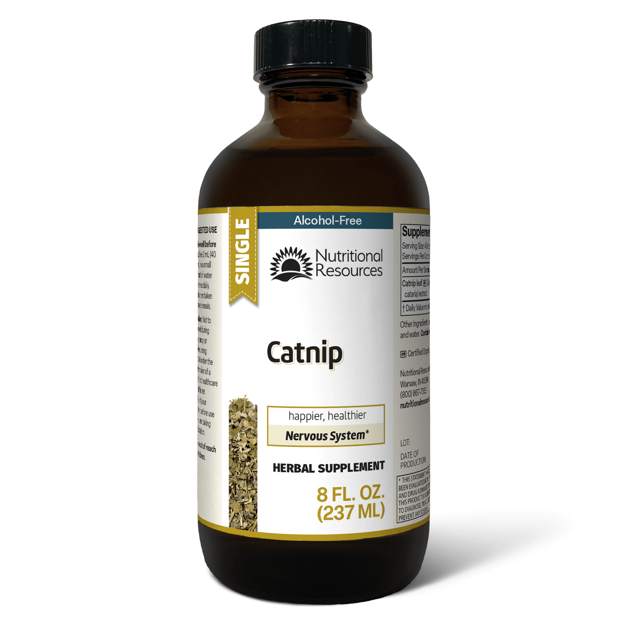 Catnip