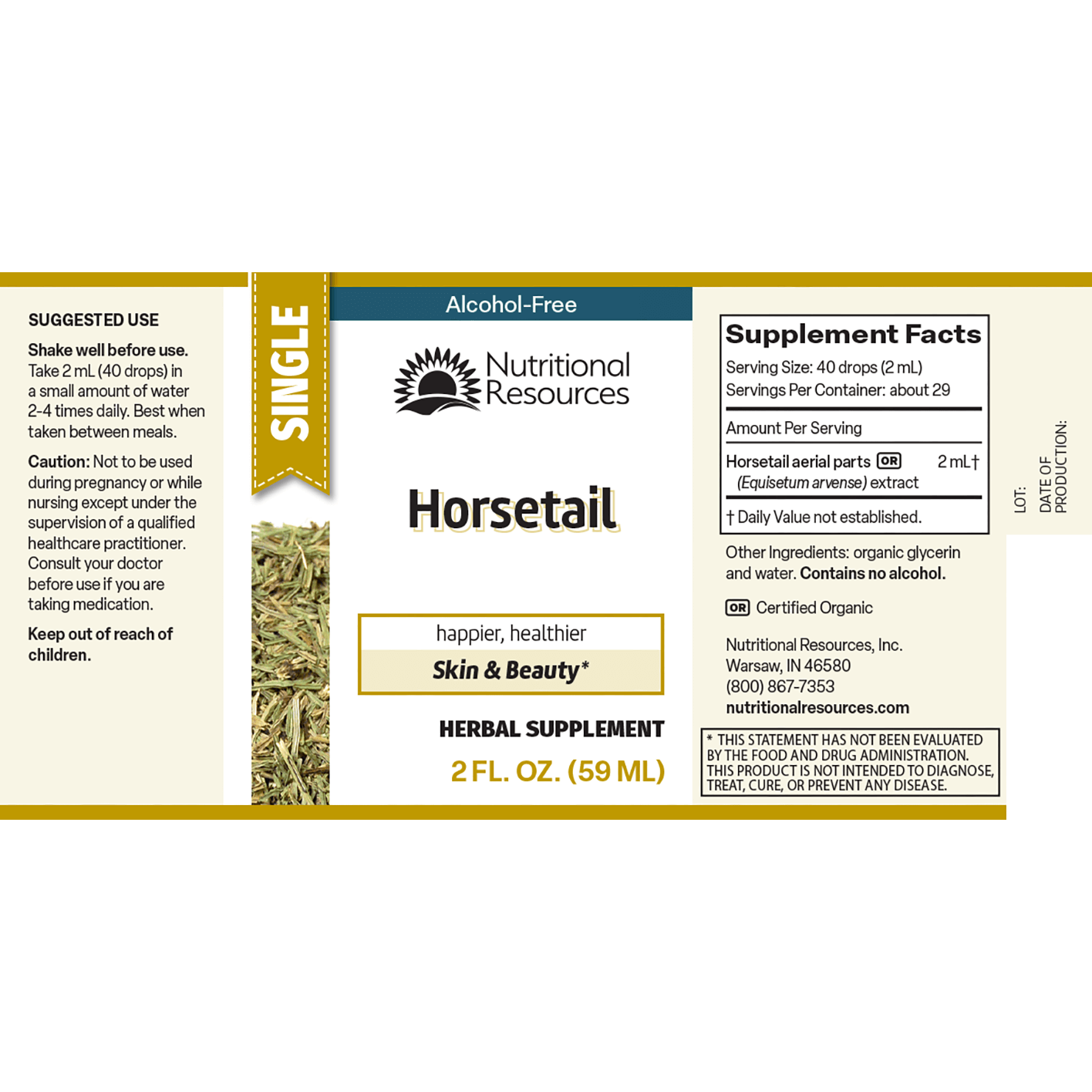 Horsetail (Shavegrass)