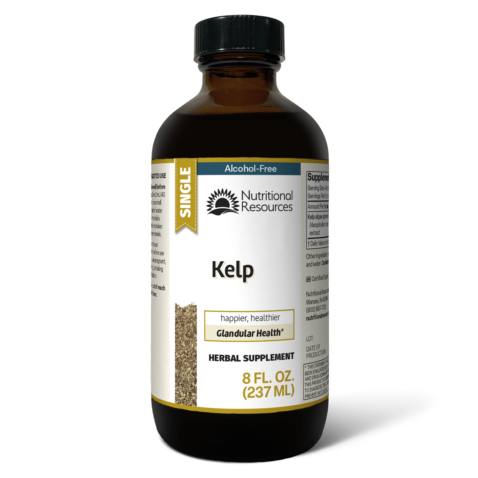 Kelp