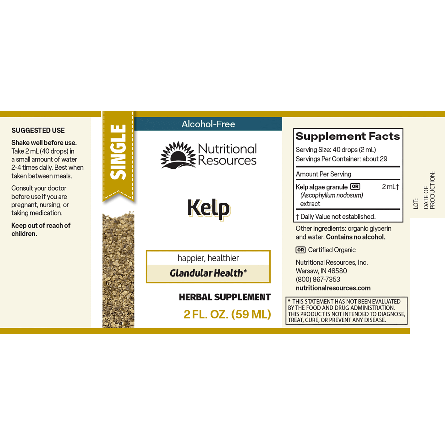 Kelp
