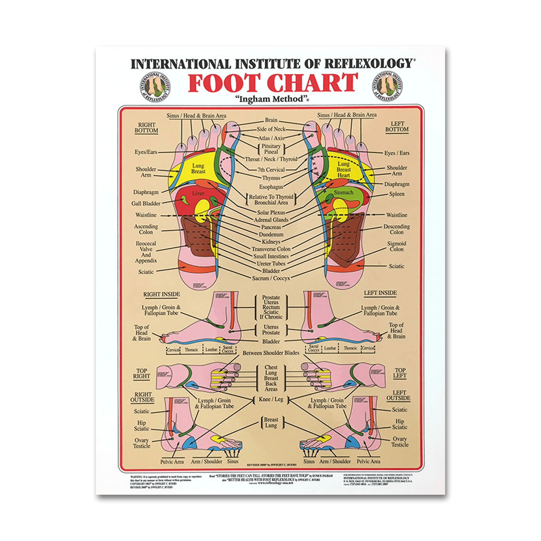 Foot & Hand Chart Set (Small)