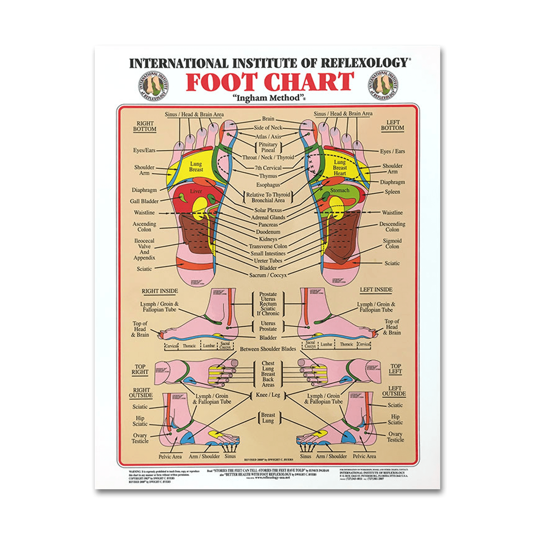 Foot & Hand Chart Set (Small) - Nutritional Resources