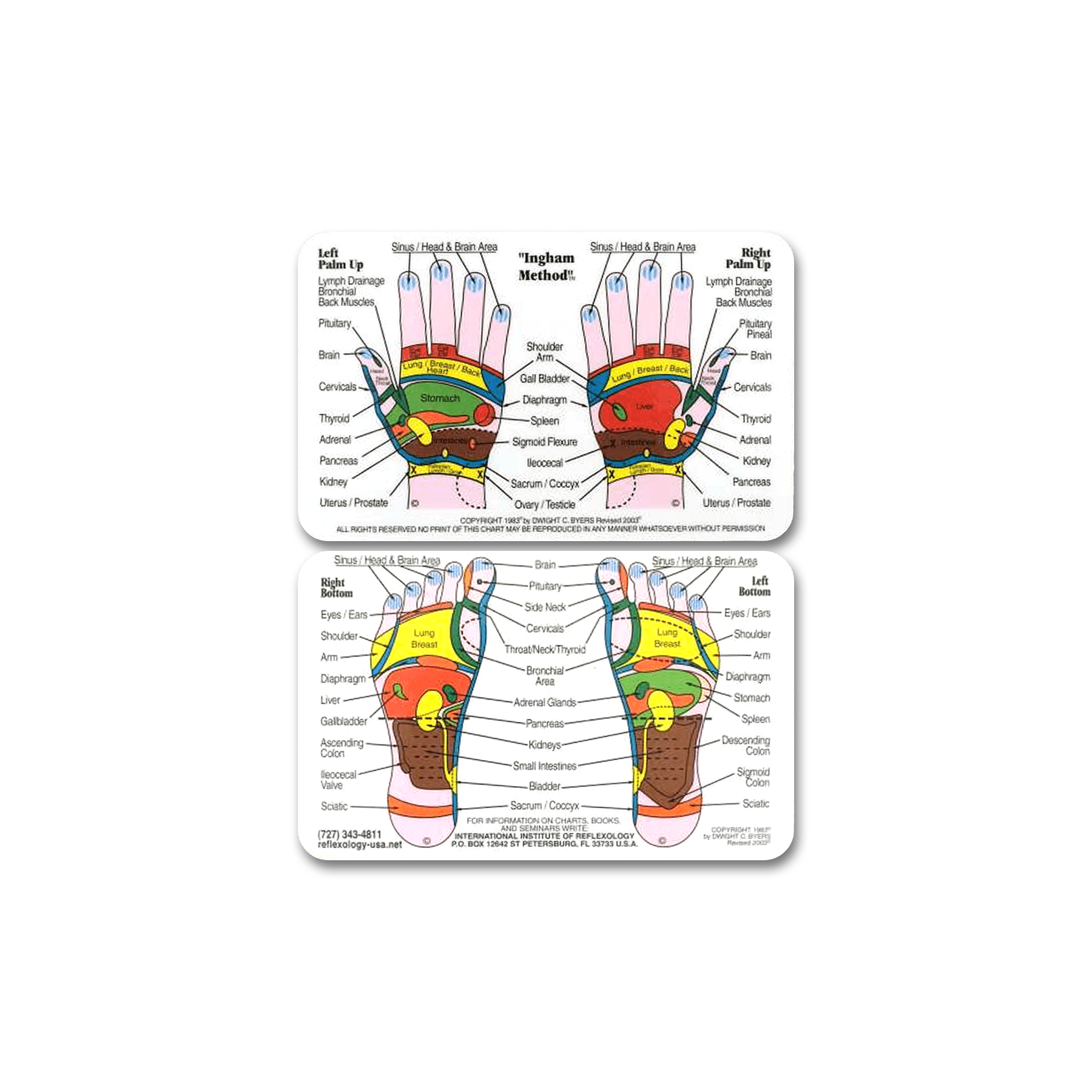 Foot & Hand Chart (Double Sided, Wallet Size) - Nutritional Resources
