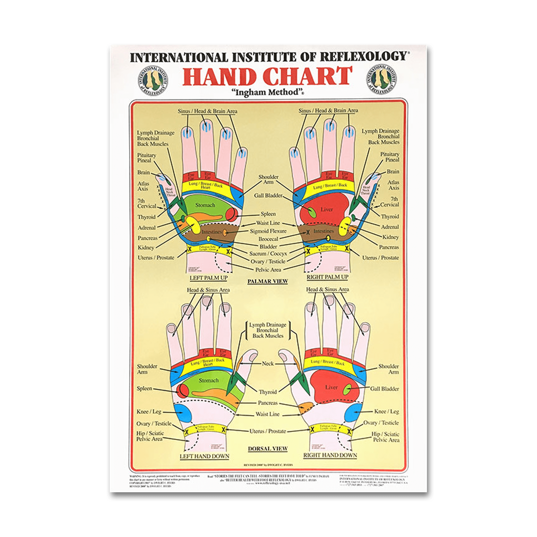 Hand Chart (Large) - Nutritional Resources