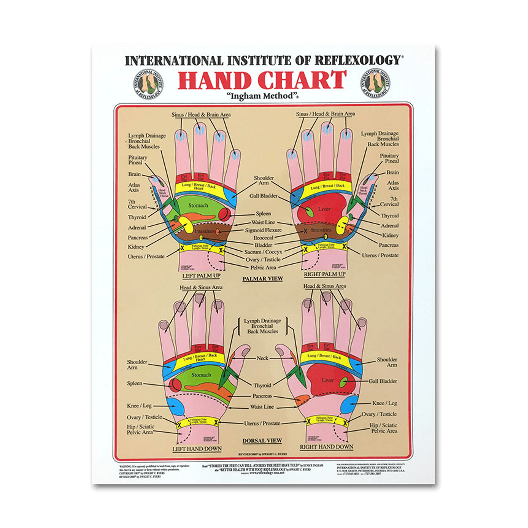 Foot & Hand Chart Set (Small) - Nutritional Resources