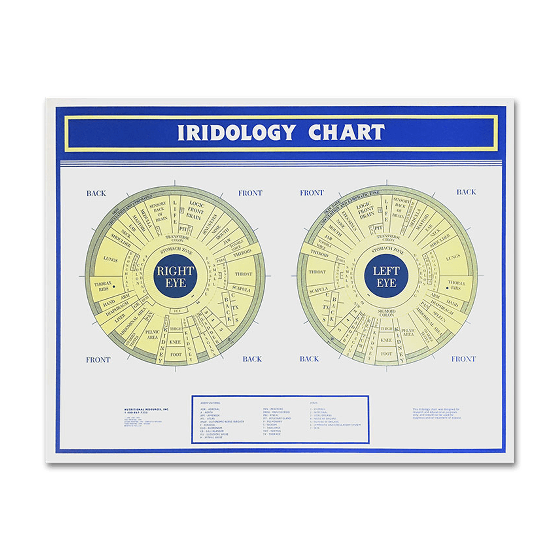 Iridology Wall Chart (22 x 28) - Nutritional Resources