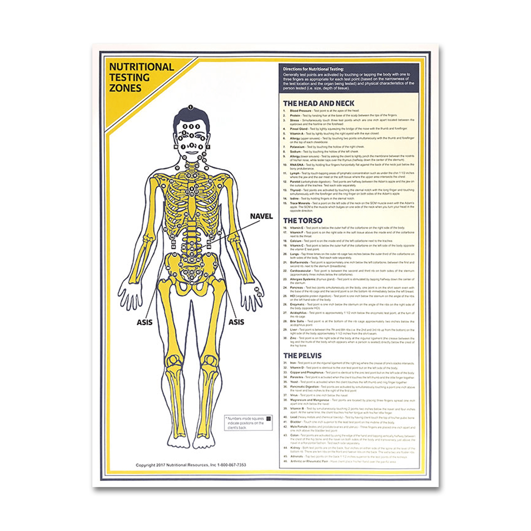 Muscle Response Test Chart (Large)