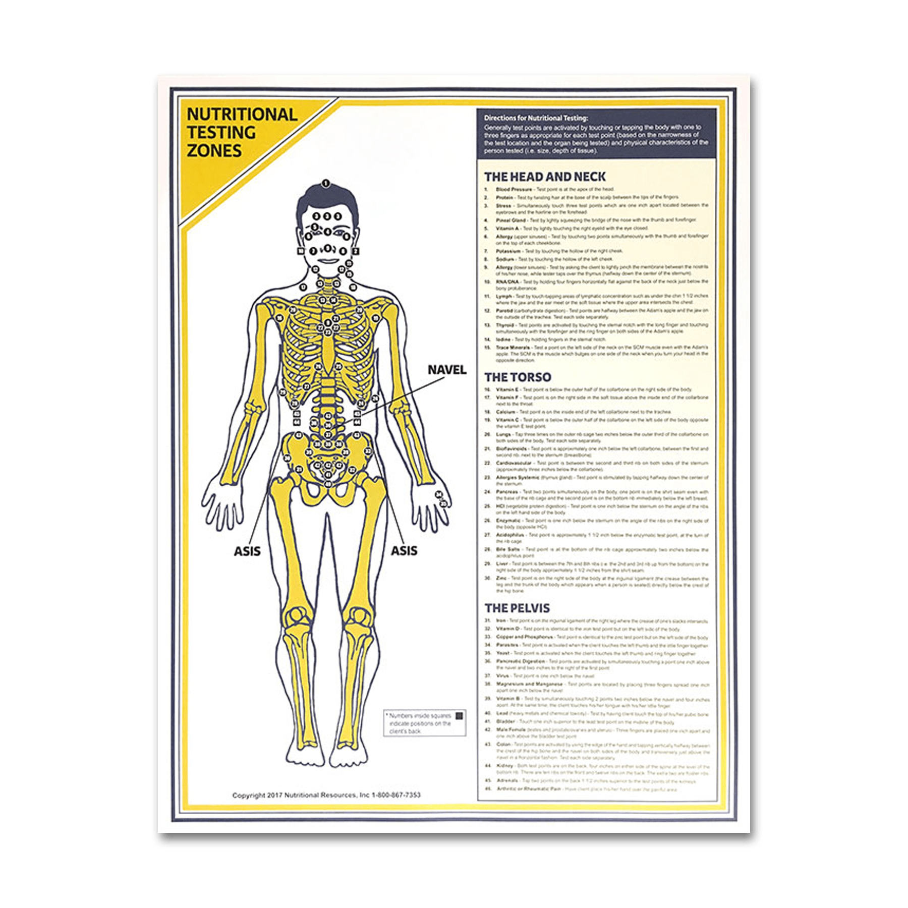 Muscle Response Test Chart (Large) - Nutritional Resources