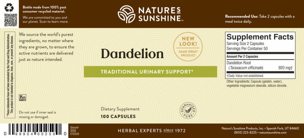 Dandelion