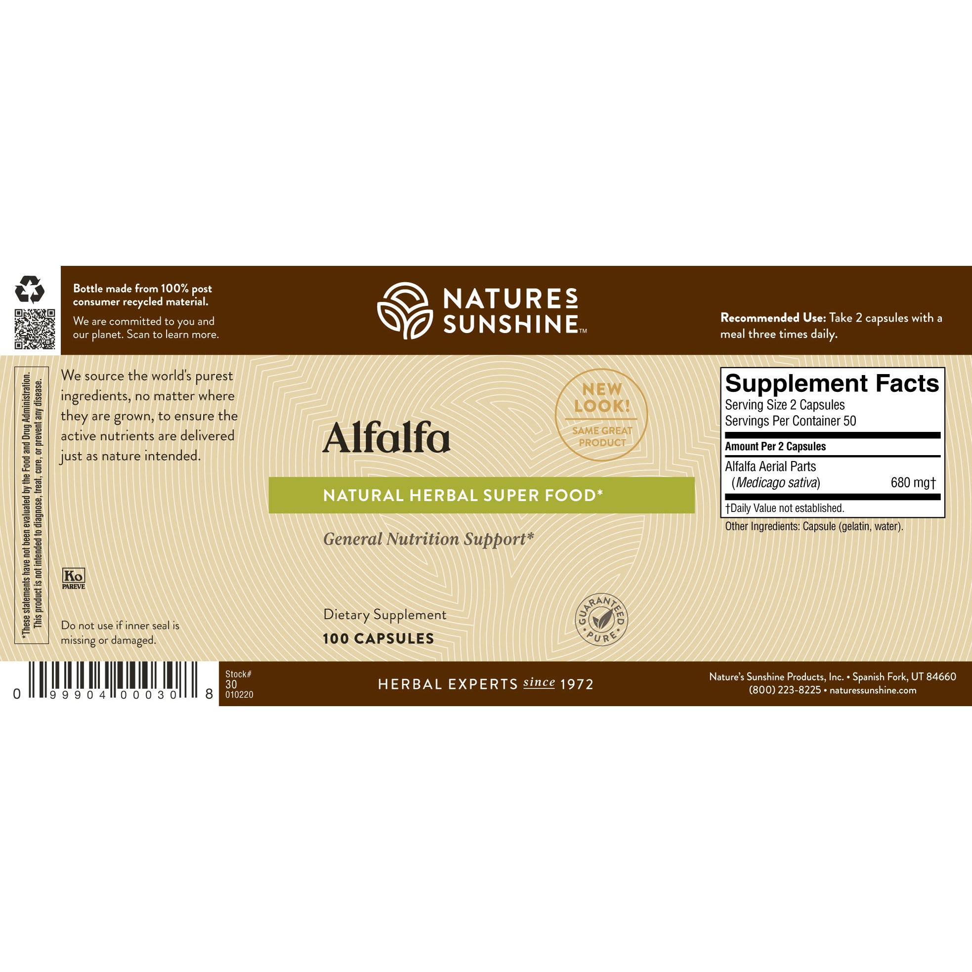 Alfalfa