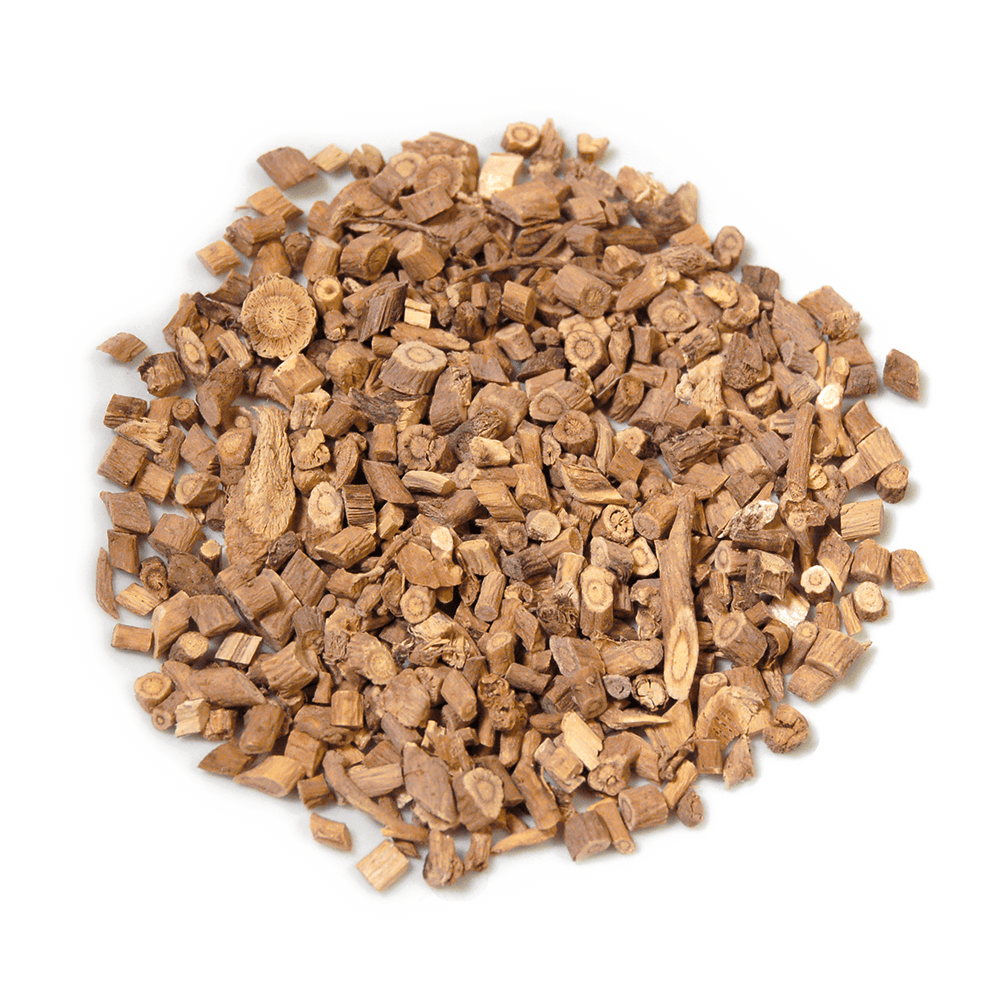 Astragalus