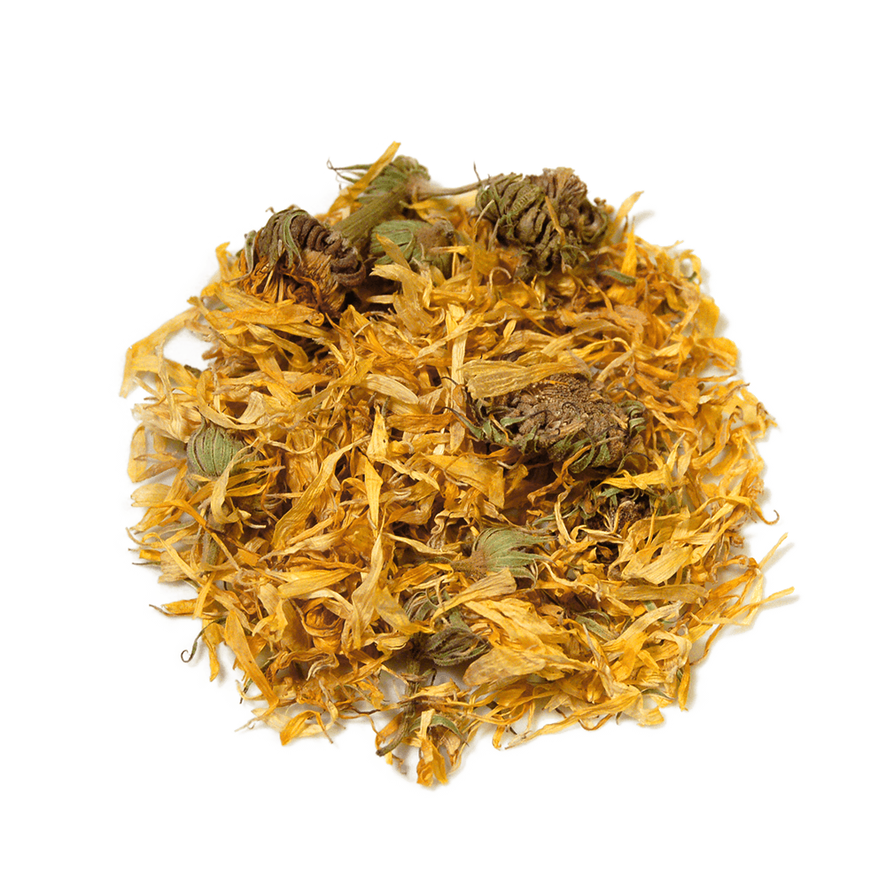 Calendula