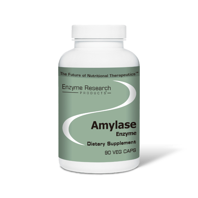 amylase-enzyme