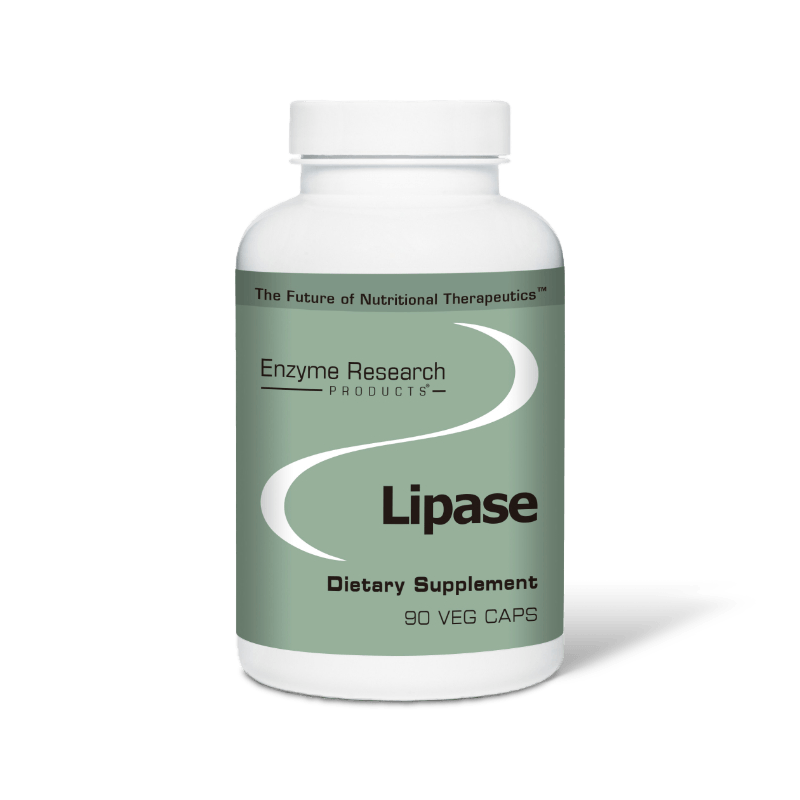 Lipase Enzyme