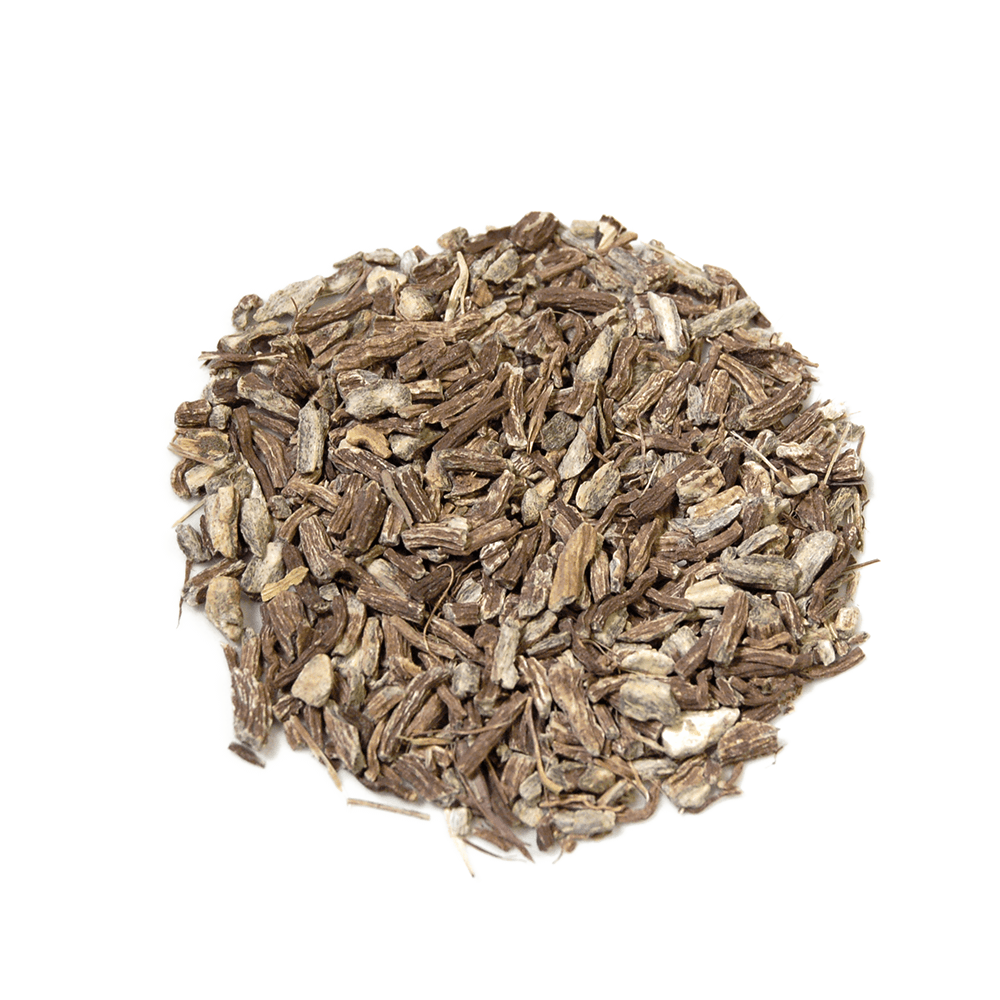 Echinacea