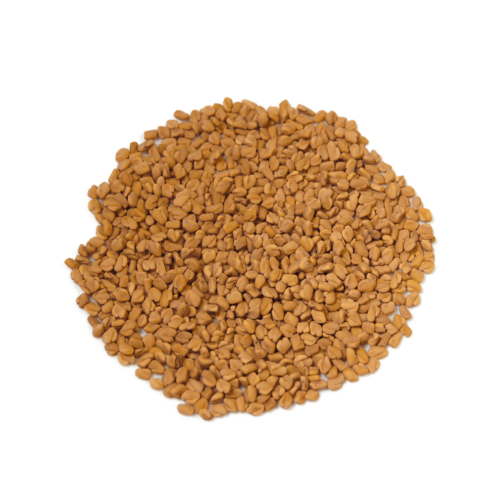 Fenugreek