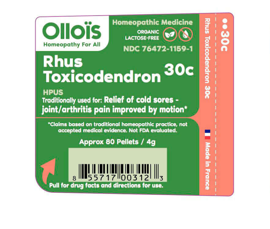 Rhus Toxicodendron 30C