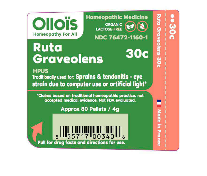 Ruta Graveolens 30C