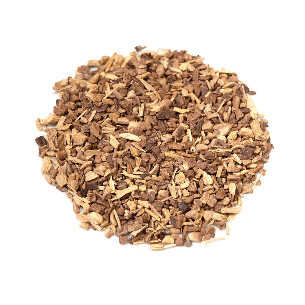 Sarsaparilla