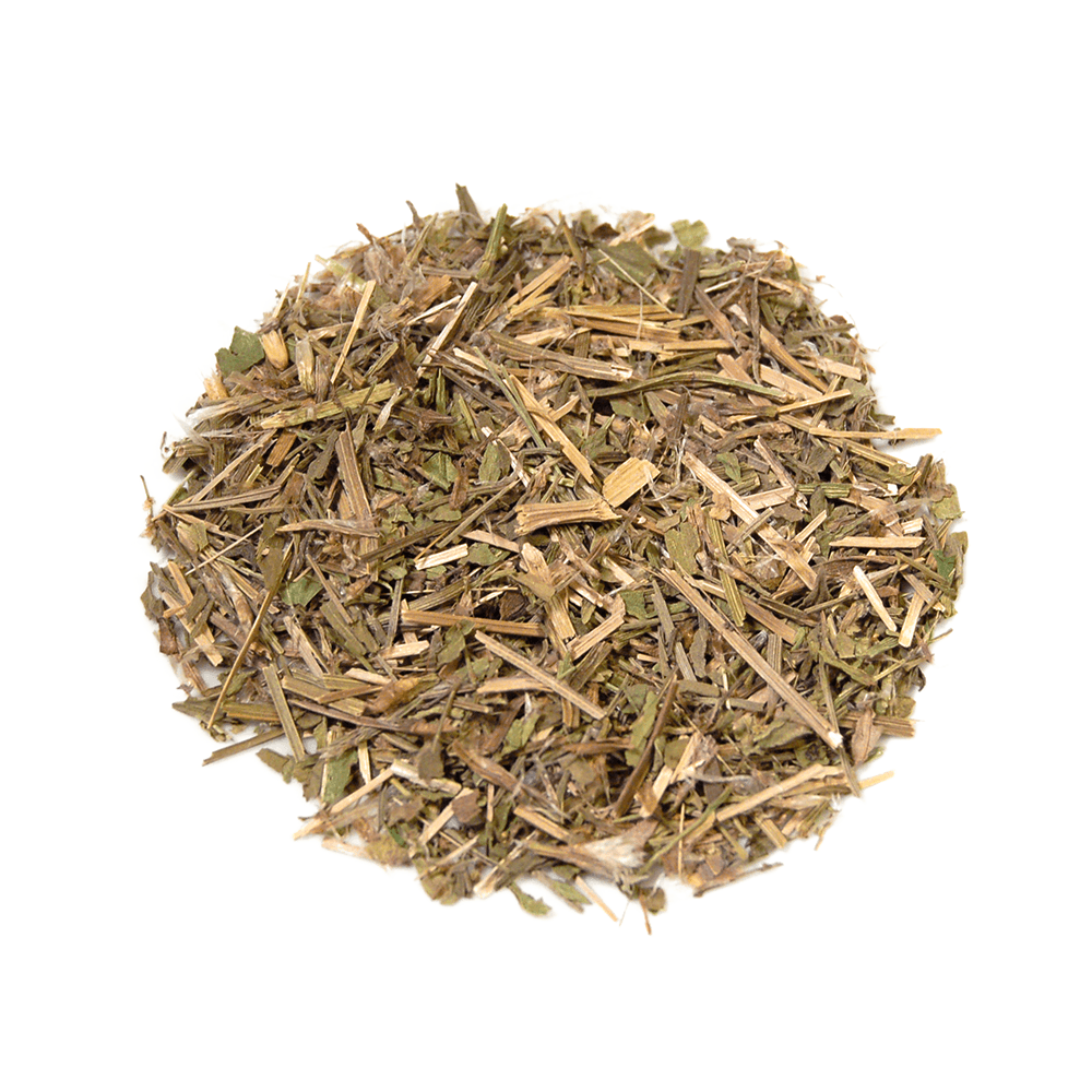 Sheep Sorrel