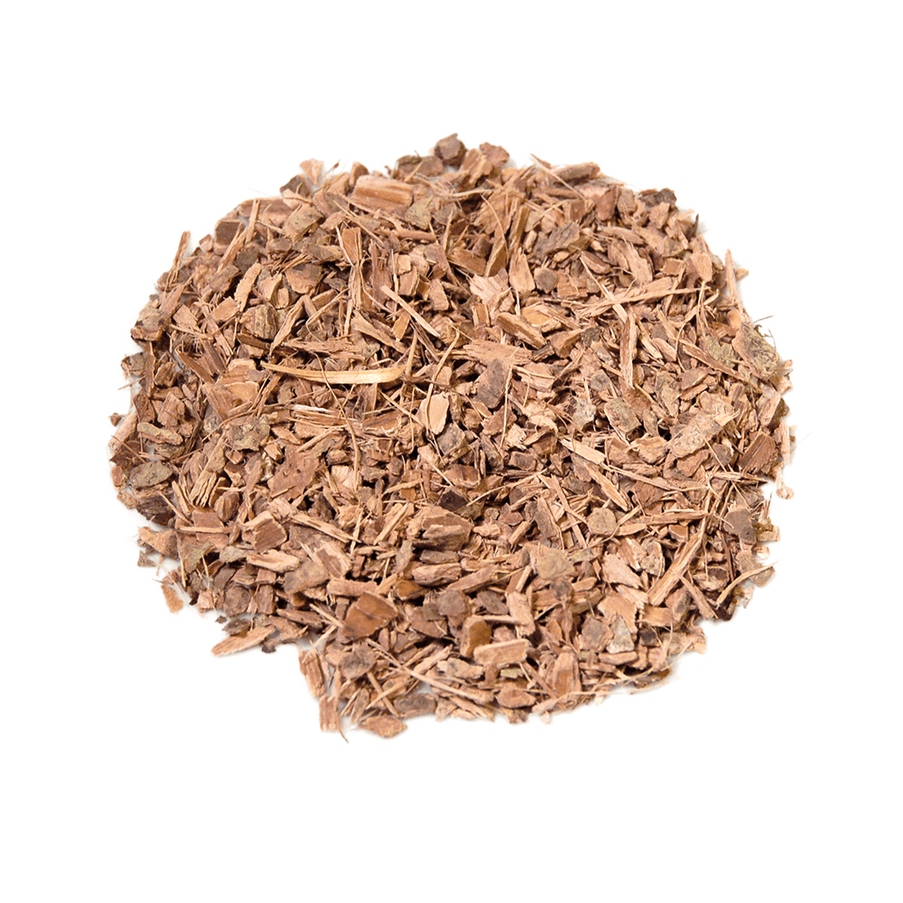 Witch Hazel