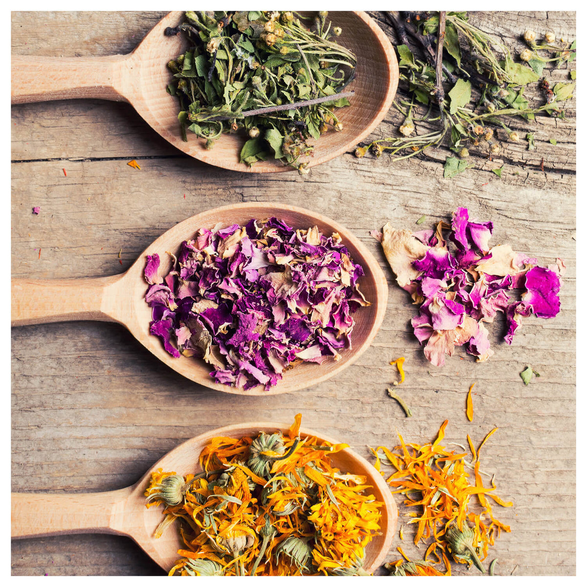Nutritional Resources - Natural Health Store - Retail and Wholesale