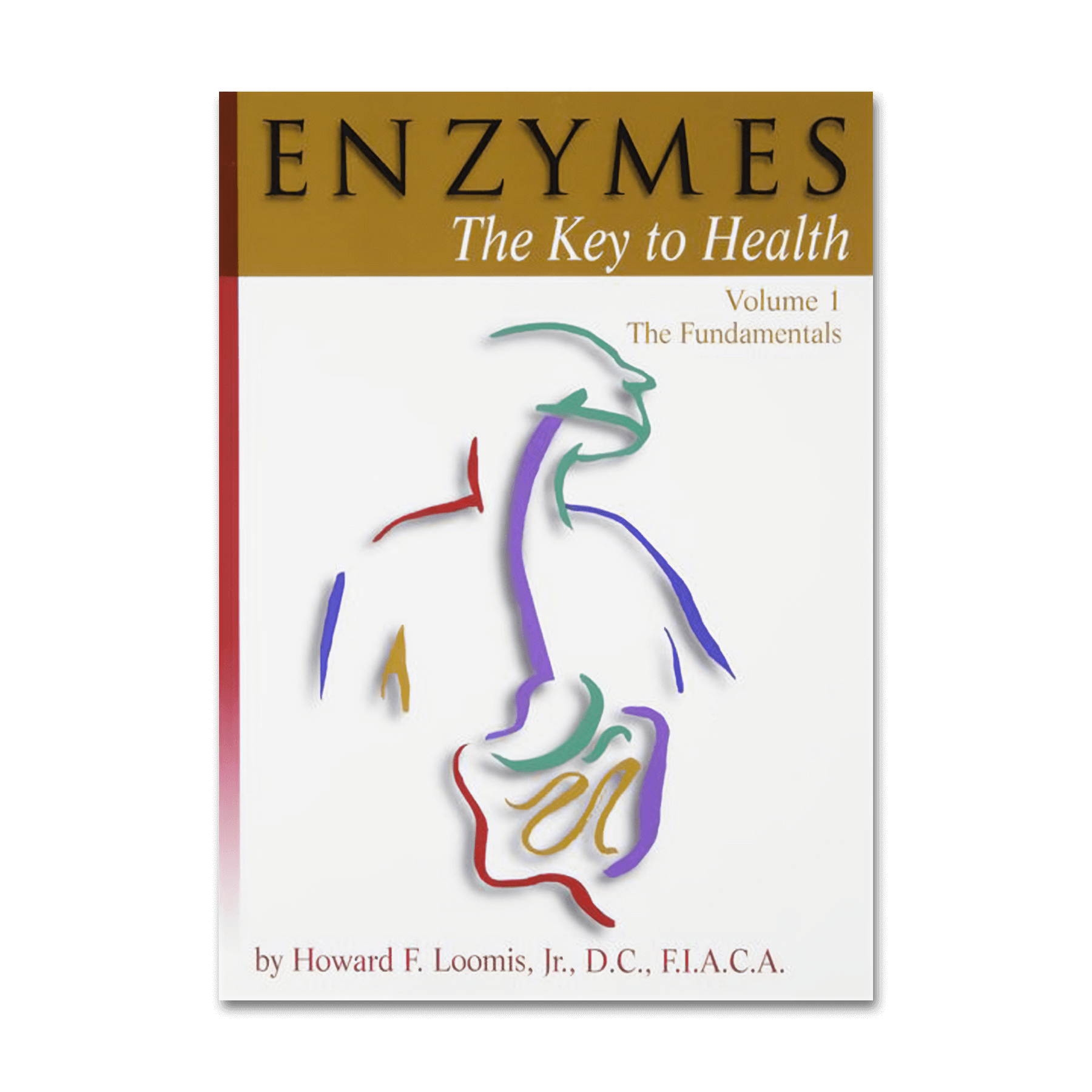 Enzymes: The Key to Health