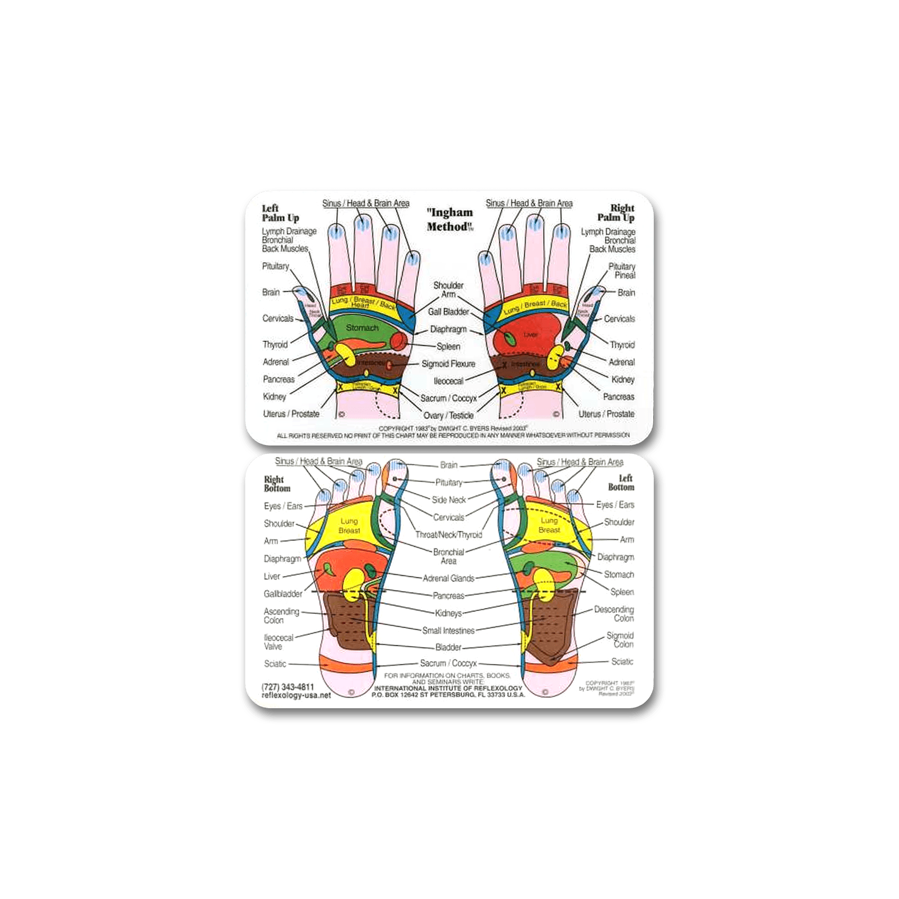 Foot & Hand Chart (Double Sided, Wallet Size)