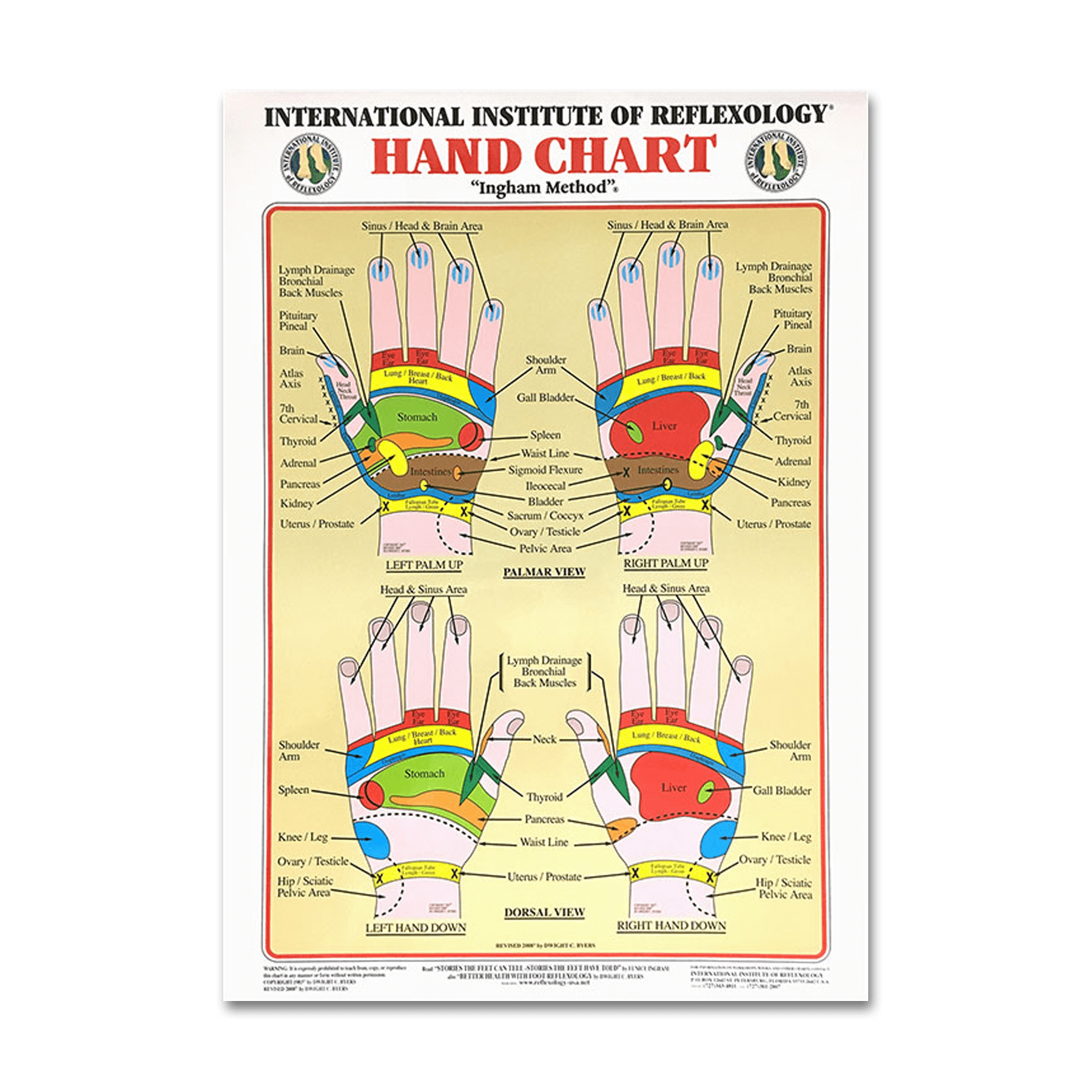 Hand Chart (Large)