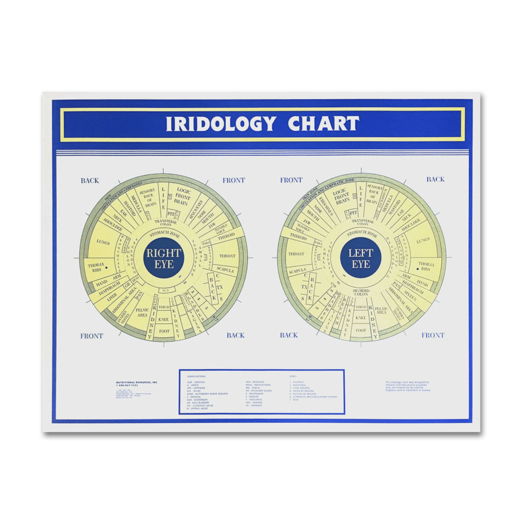 Iridology Wall Chart (22 x 28)