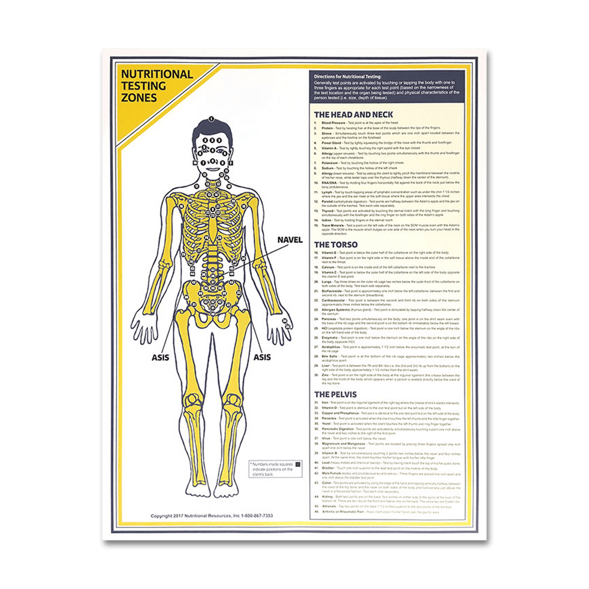 applied-kinesiology-better-energy-everyday-wellness