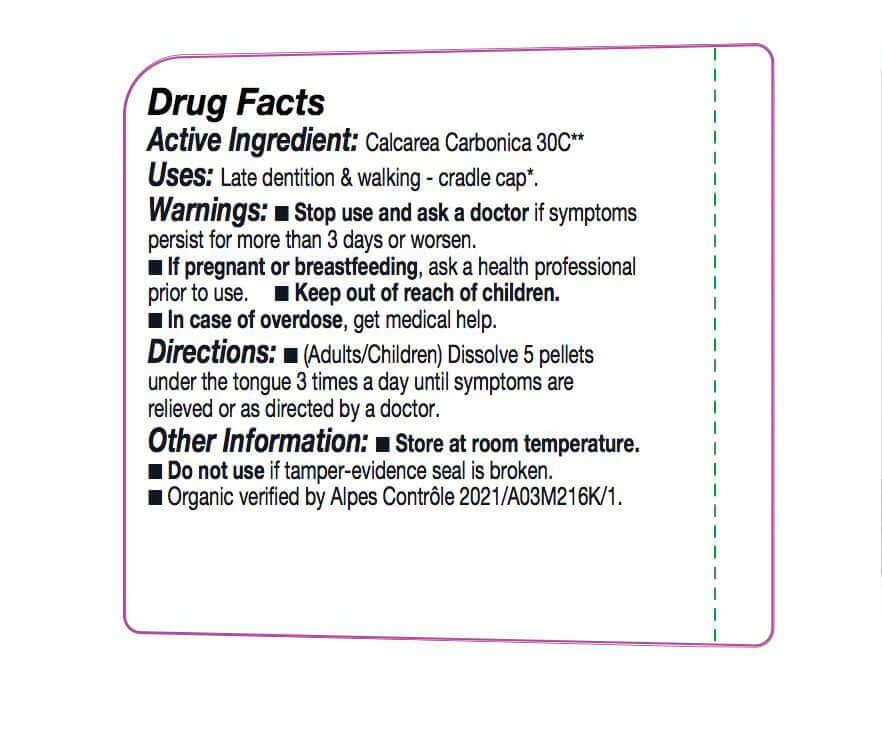 Calcarea Carbonica 30C – Nutritional Resources