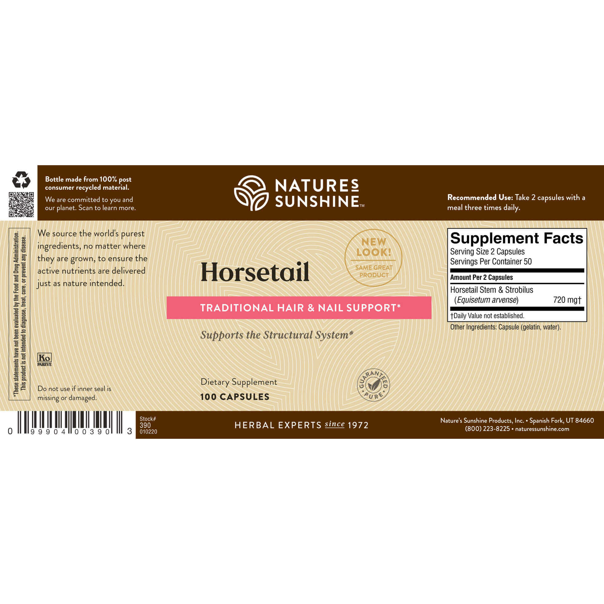 Horsetail